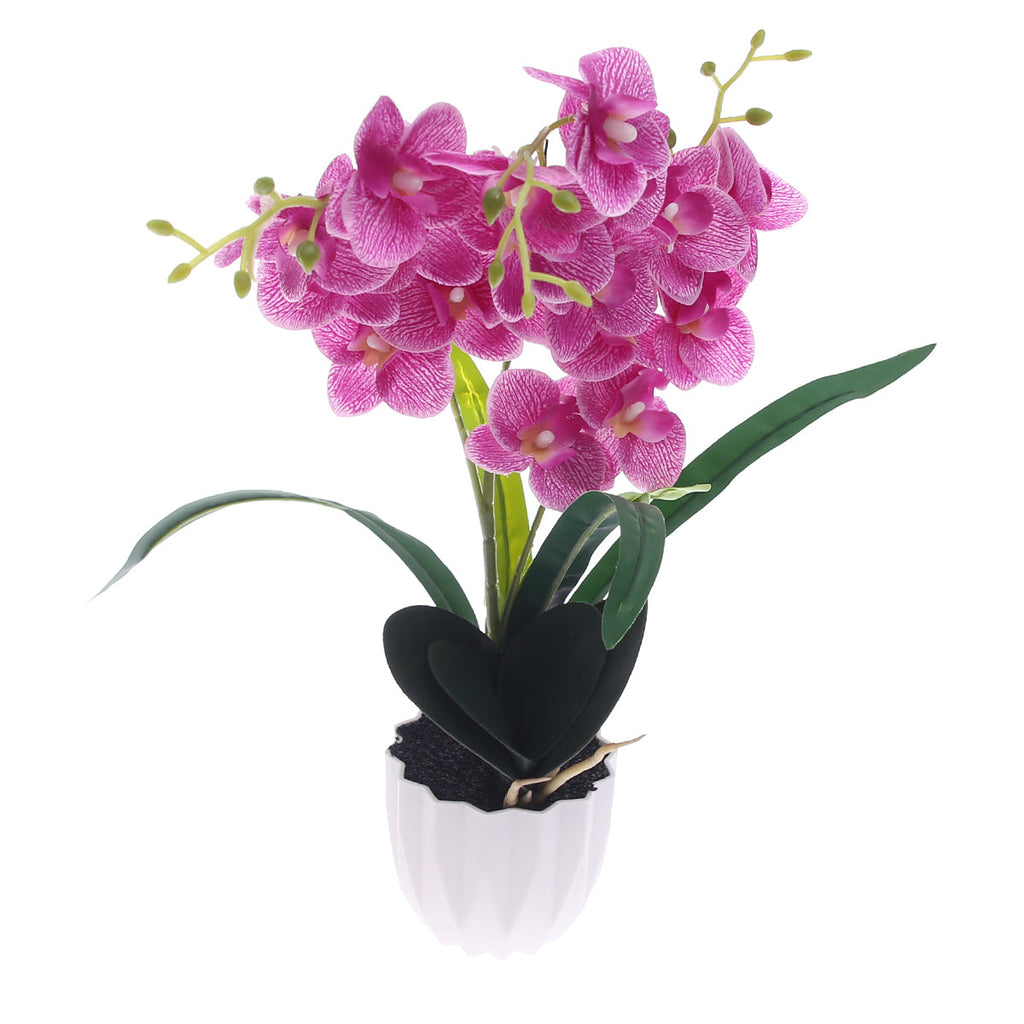 Table Plant – Orchid Bloom – Purple
