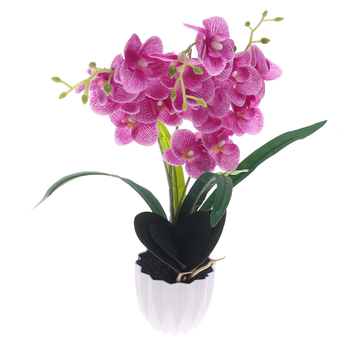 Table Plant – Orchid Bloom – Purple