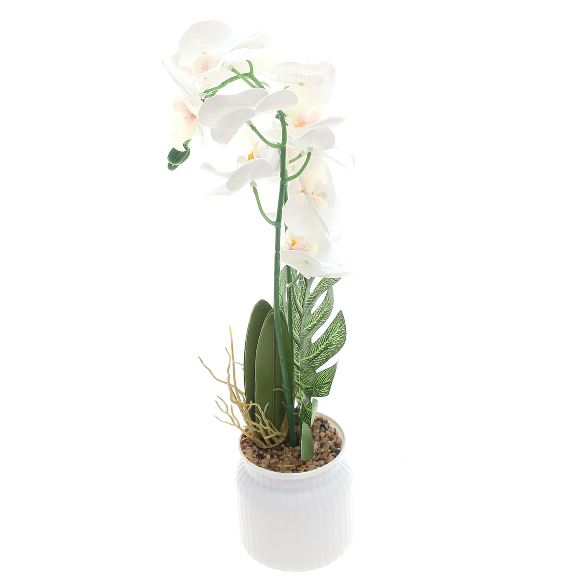 Table Plant – Orchid Arrangement – White