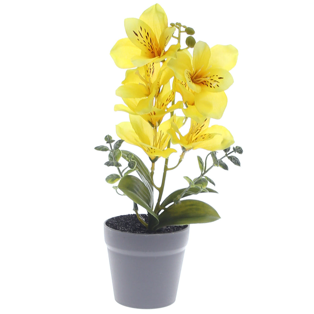 Table Plant – Lily Arrangement – Yellow