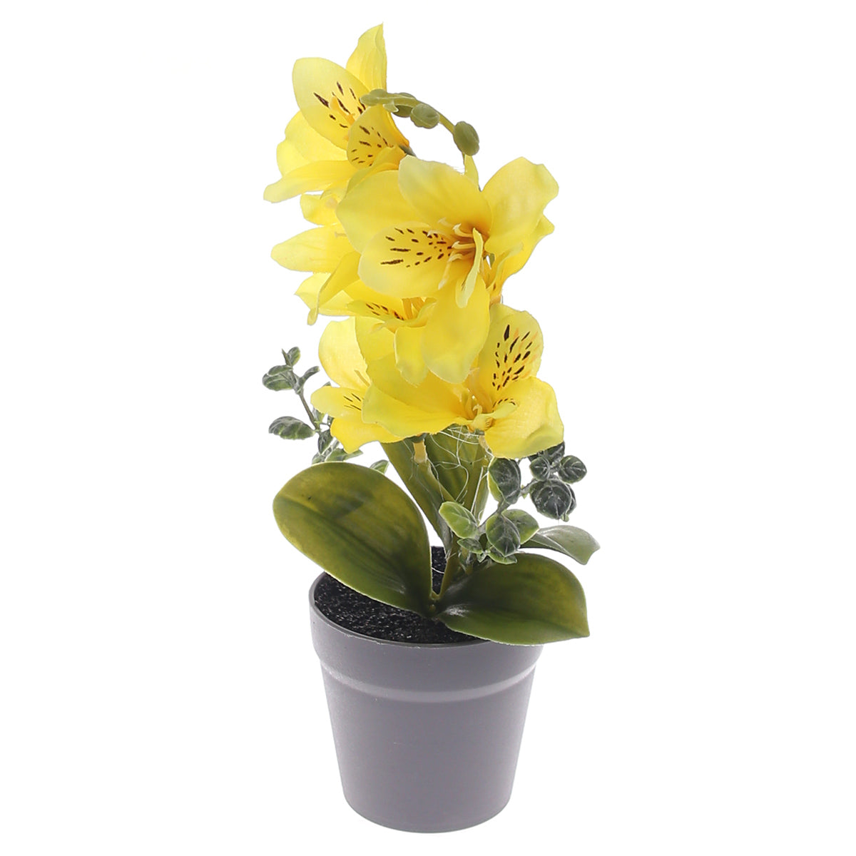 Table Plant – Lily Arrangement – Yellow