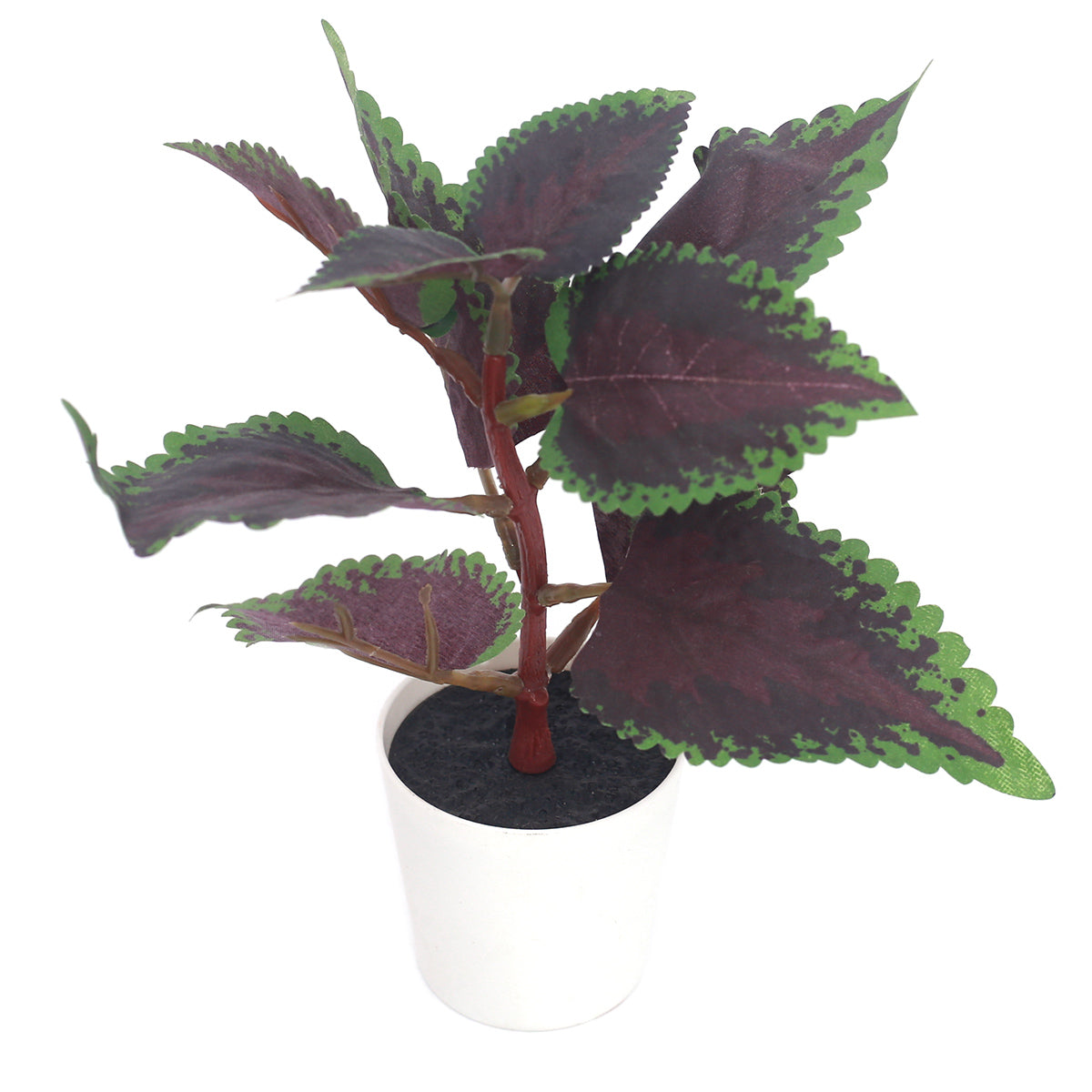 mini purple perilla set.Ceramic