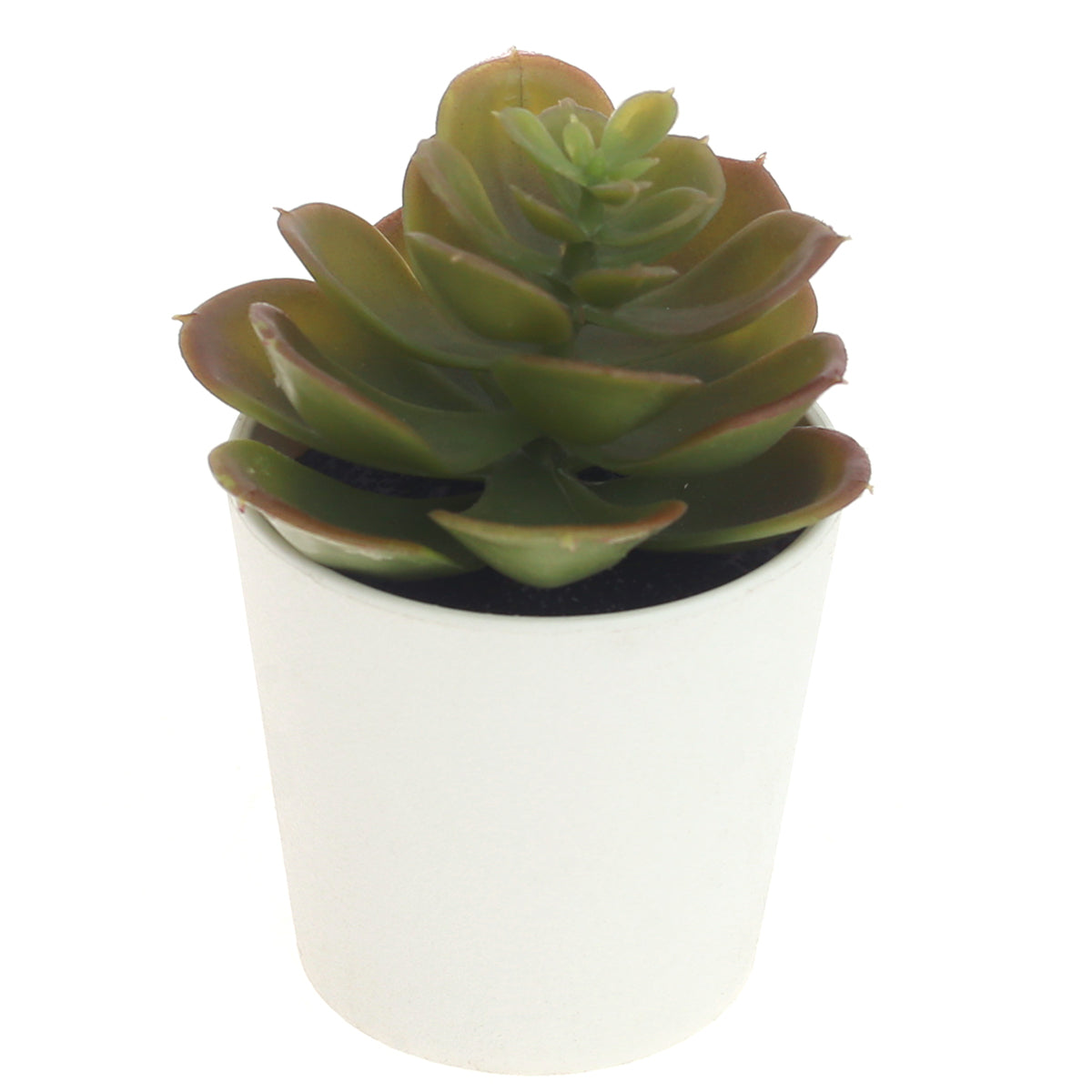small plant pot