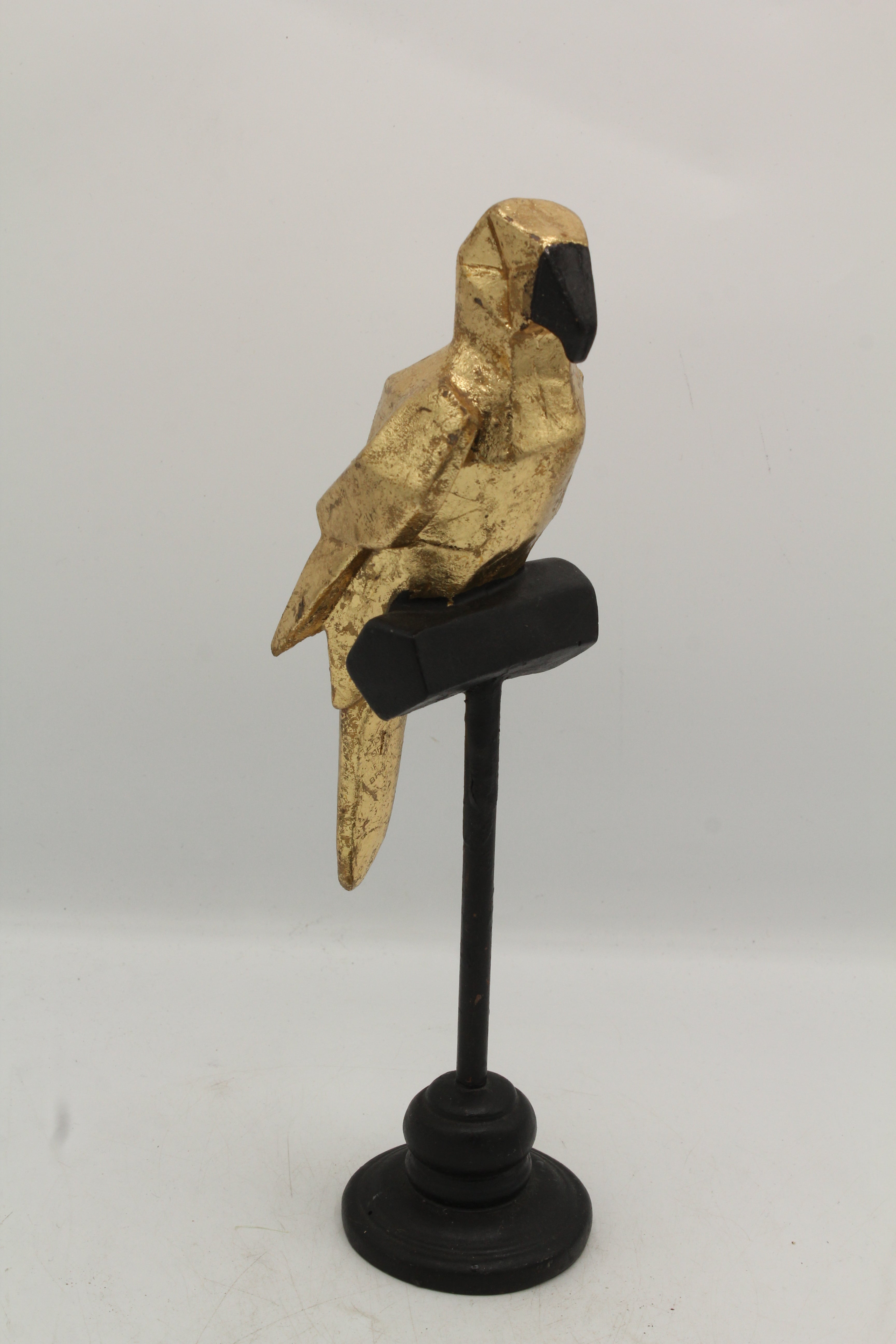 Polygonal Parrot on Perch