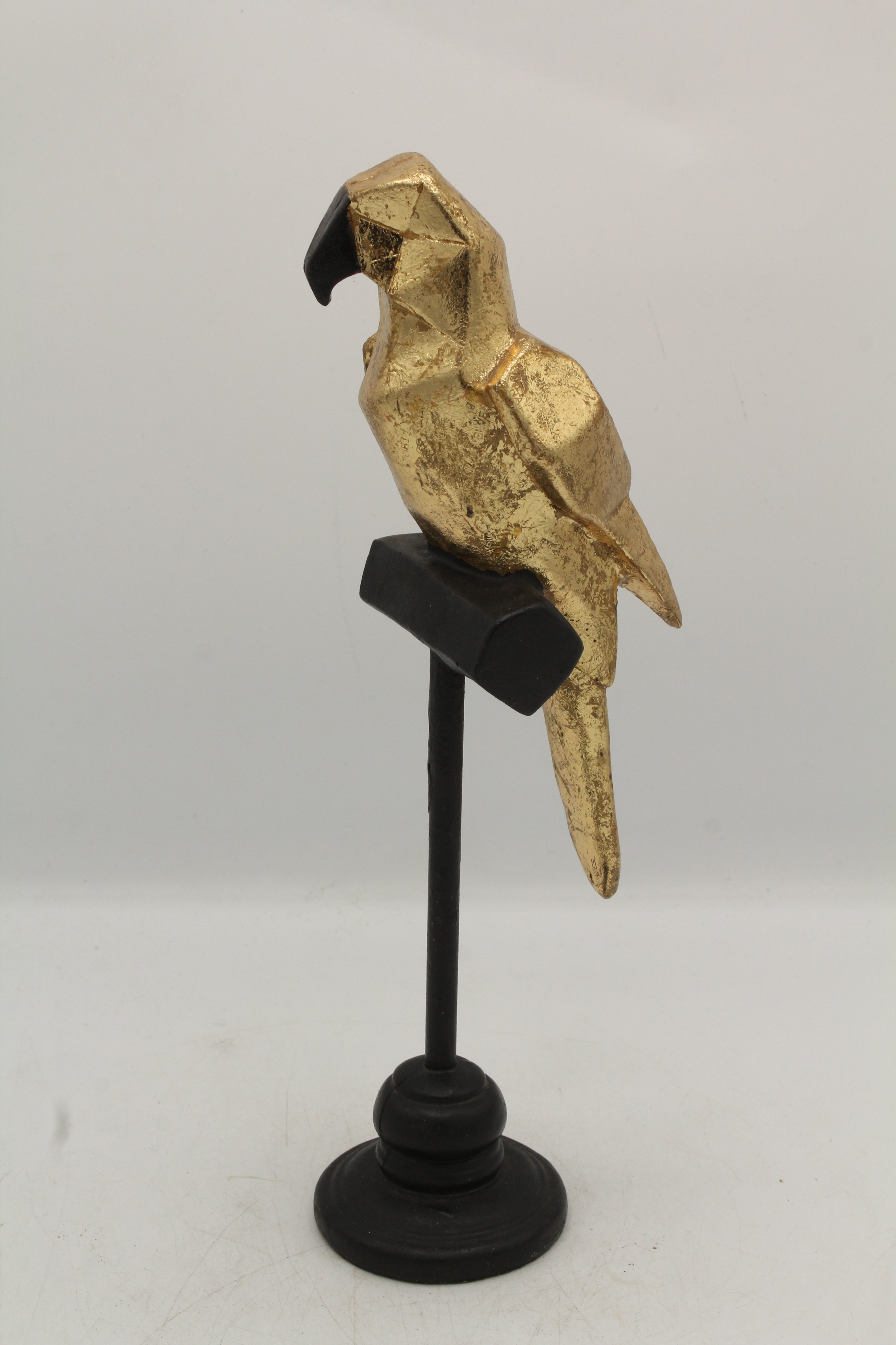 Polygonal Parrot on Perch