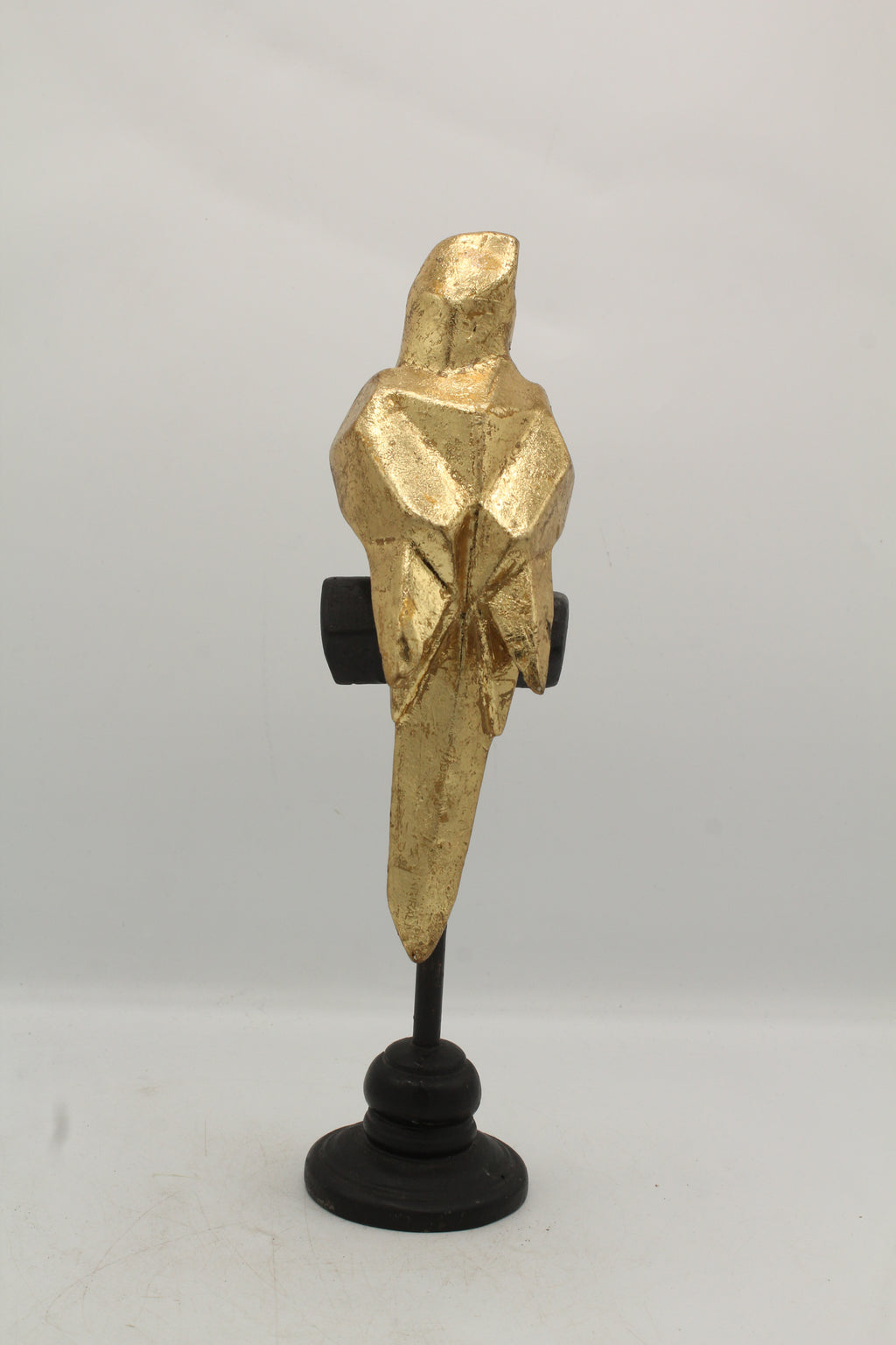 Polygonal Parrot on Perch