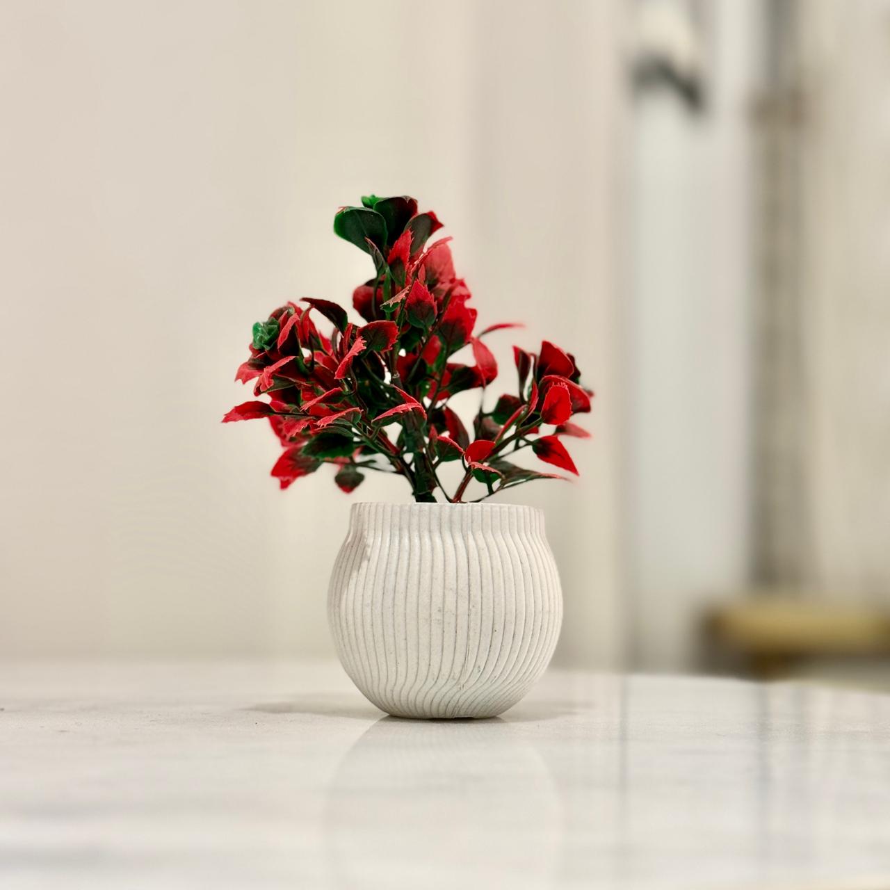 Miniature Tree planter for Home and Office Decor