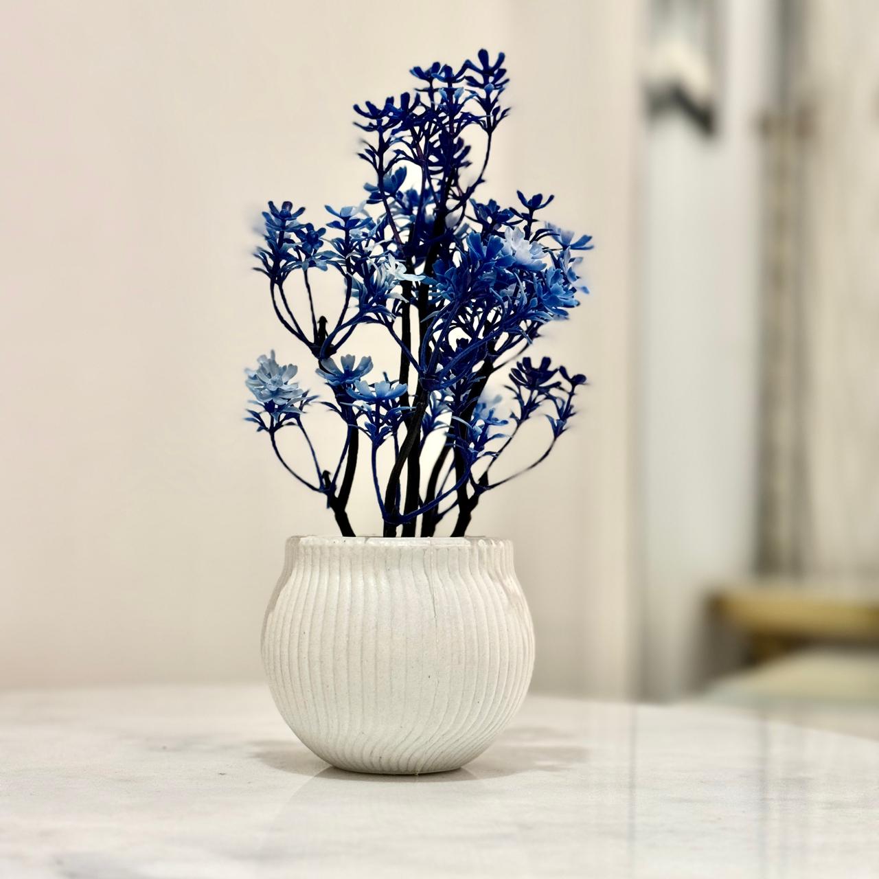 Miniature Tree planter for Home and Office Decor